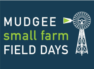 Screenshot 2023-07-03 102120