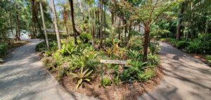 Hunter Region Botanic Gardens